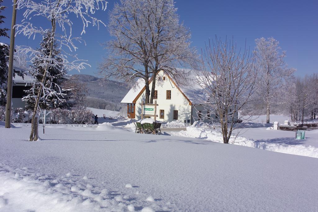 Pension Slunečná Želnava Exterior foto